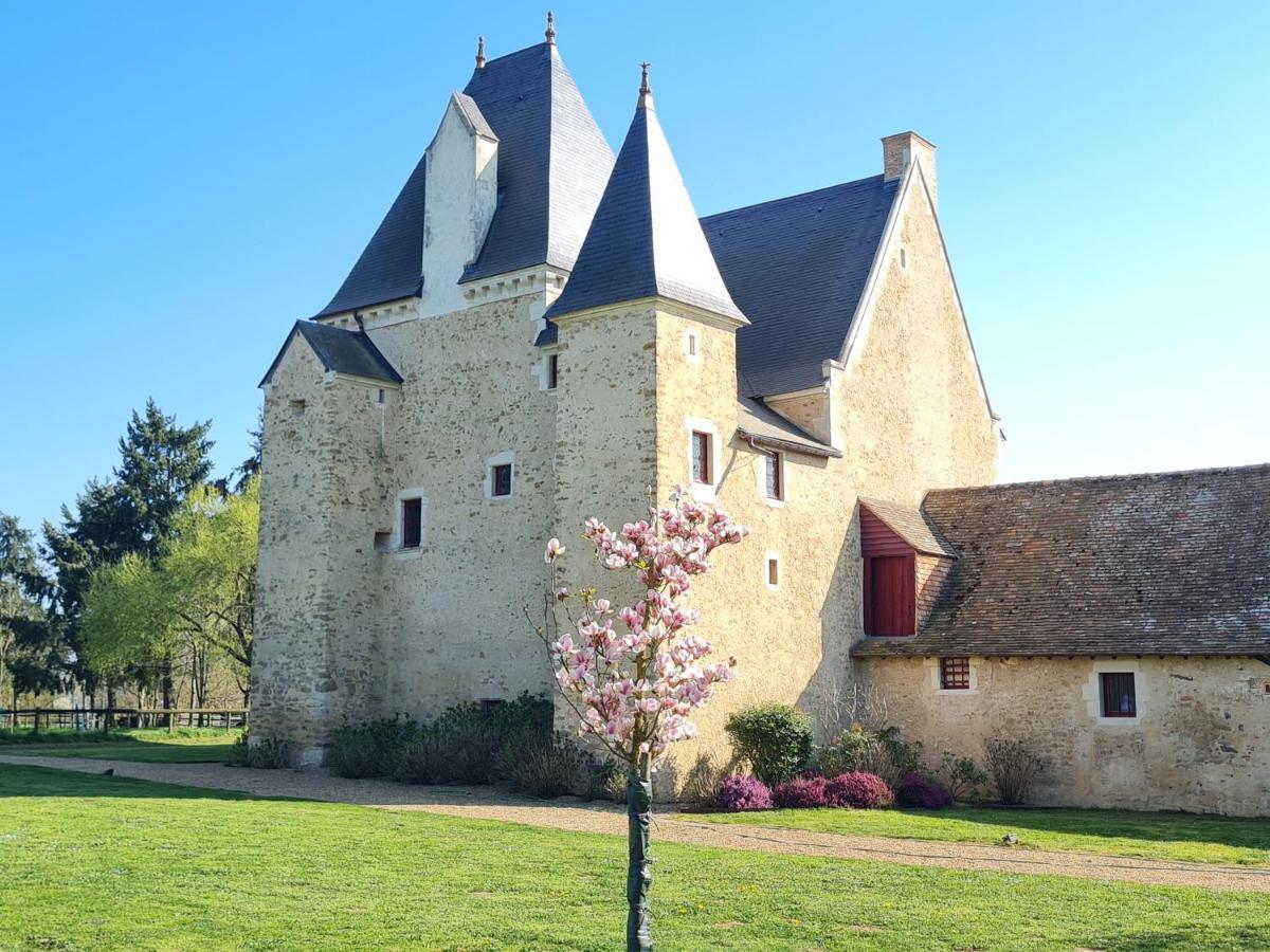 Manoir De La Beuneche - Location Du Manoir Entier Roeze-sur-Sarthe Buitenkant foto