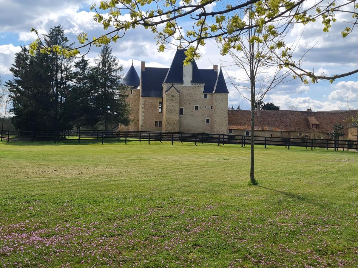Manoir De La Beuneche - Location Du Manoir Entier Roeze-sur-Sarthe Buitenkant foto